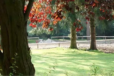 Maisonette Sechs Schwane - Ferienhof Friedrichsthal Holiday home *